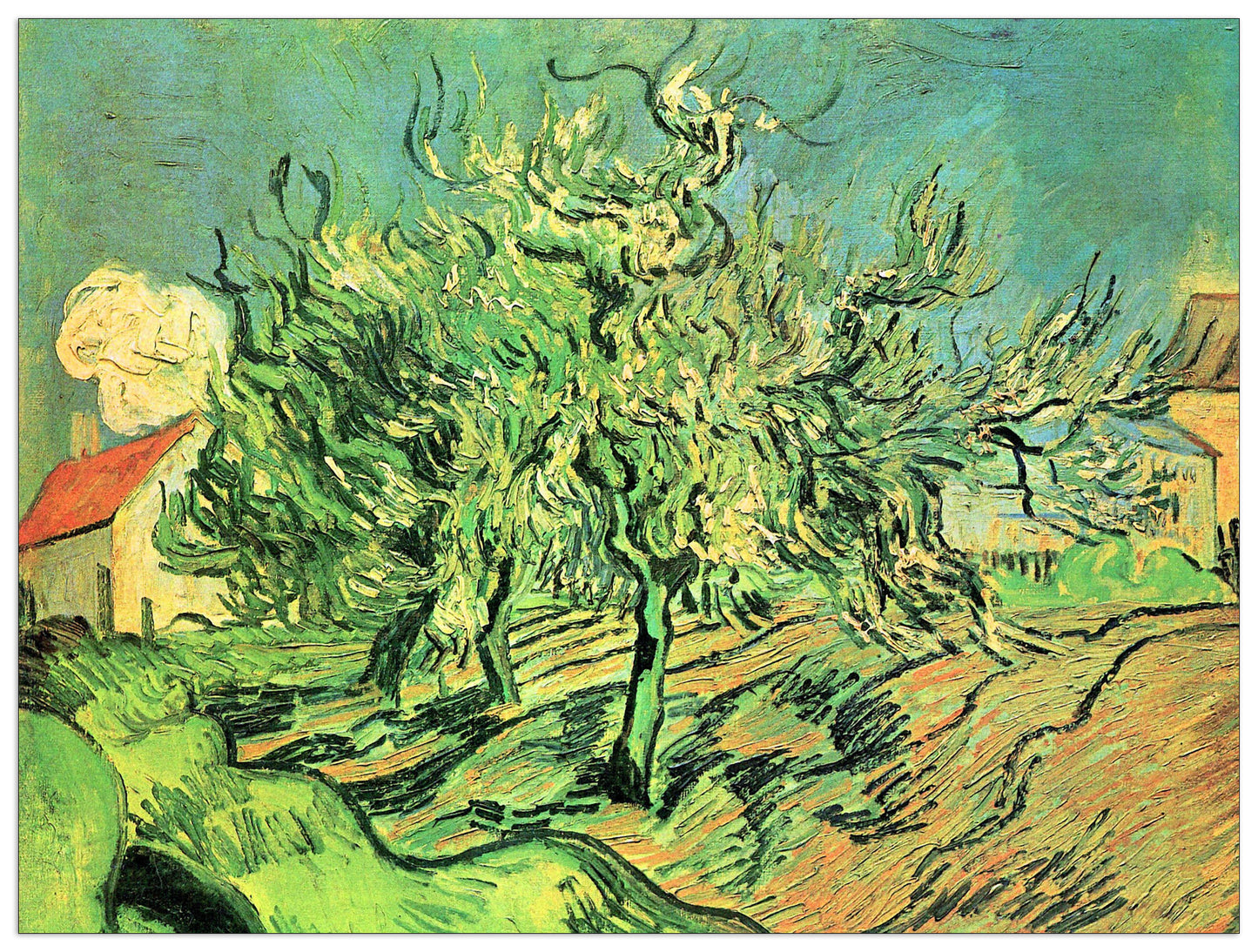 Landscape with three trees and houses cm 120x90
