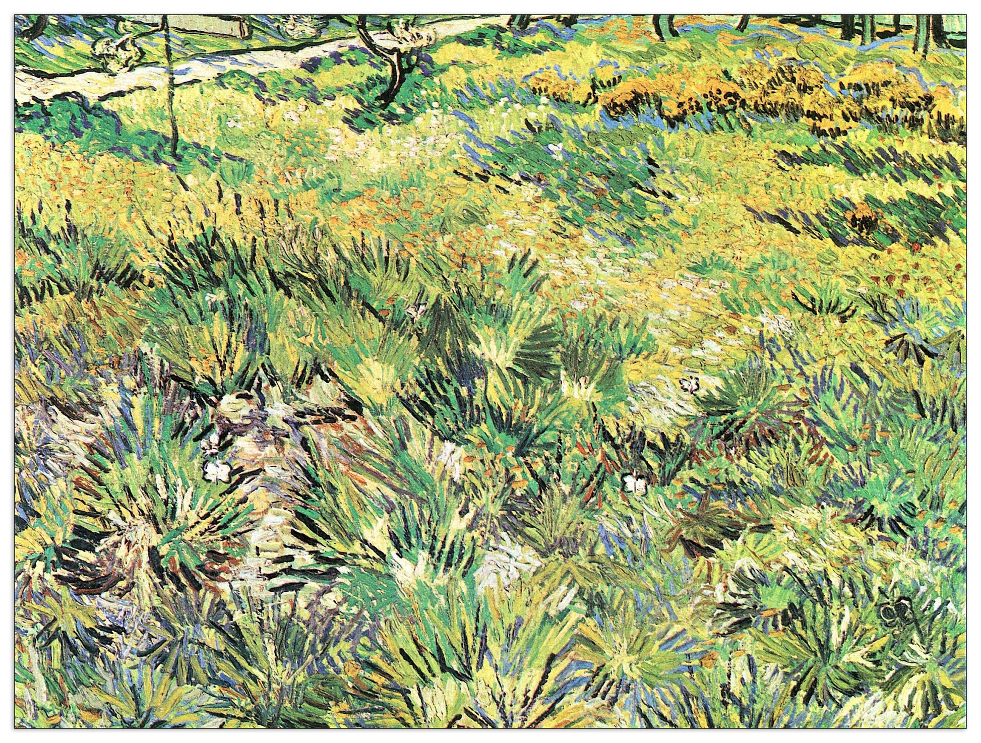 Meadow in the Garden of Saint-Paul Hospital cm 120x90