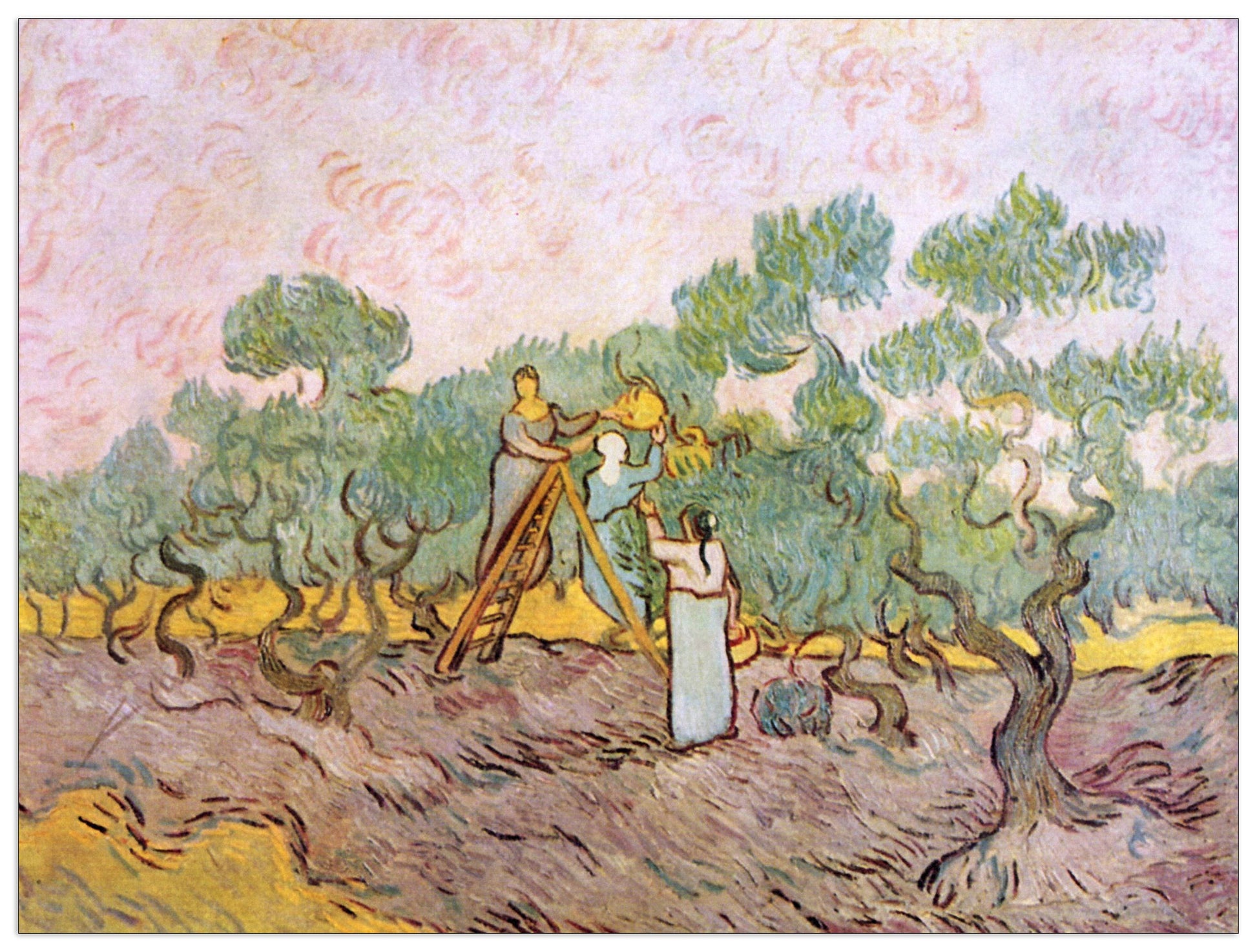 Olive Pickers cm 120x90
