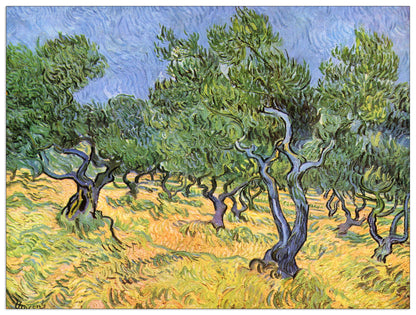Olive Trees cm 120x90