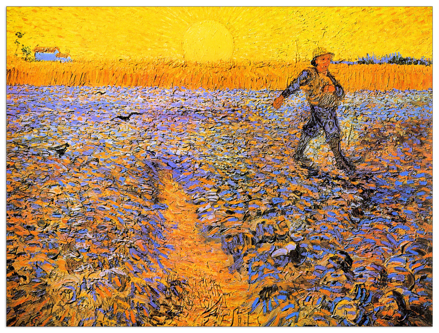 Sower under the Sun cm 80x60