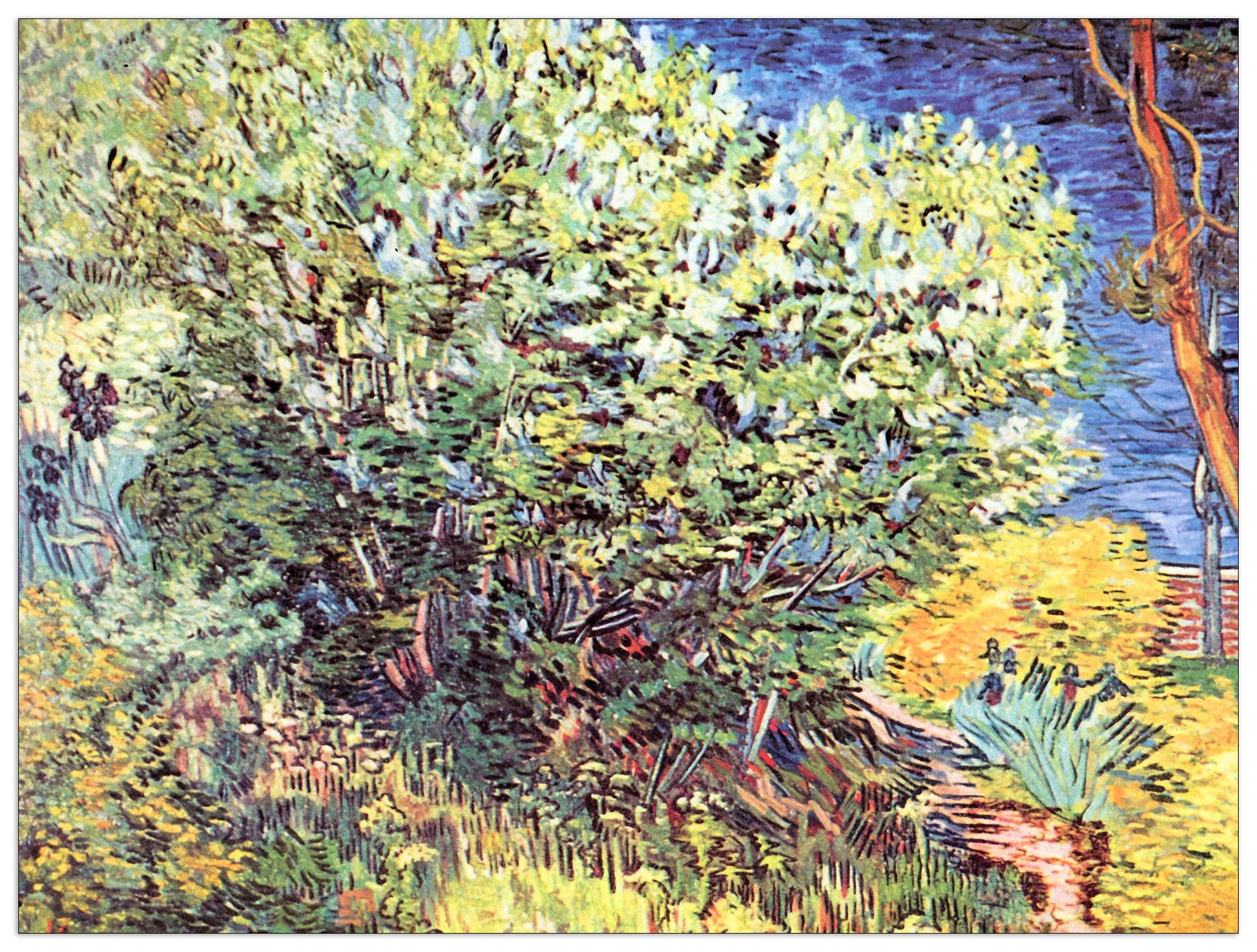 The bush cm 80x60