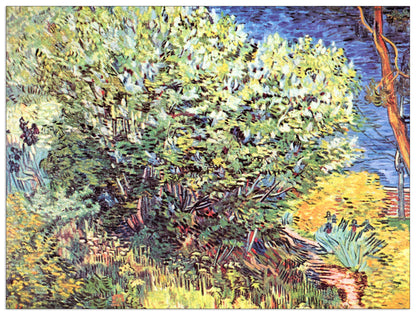The bush cm 80x60