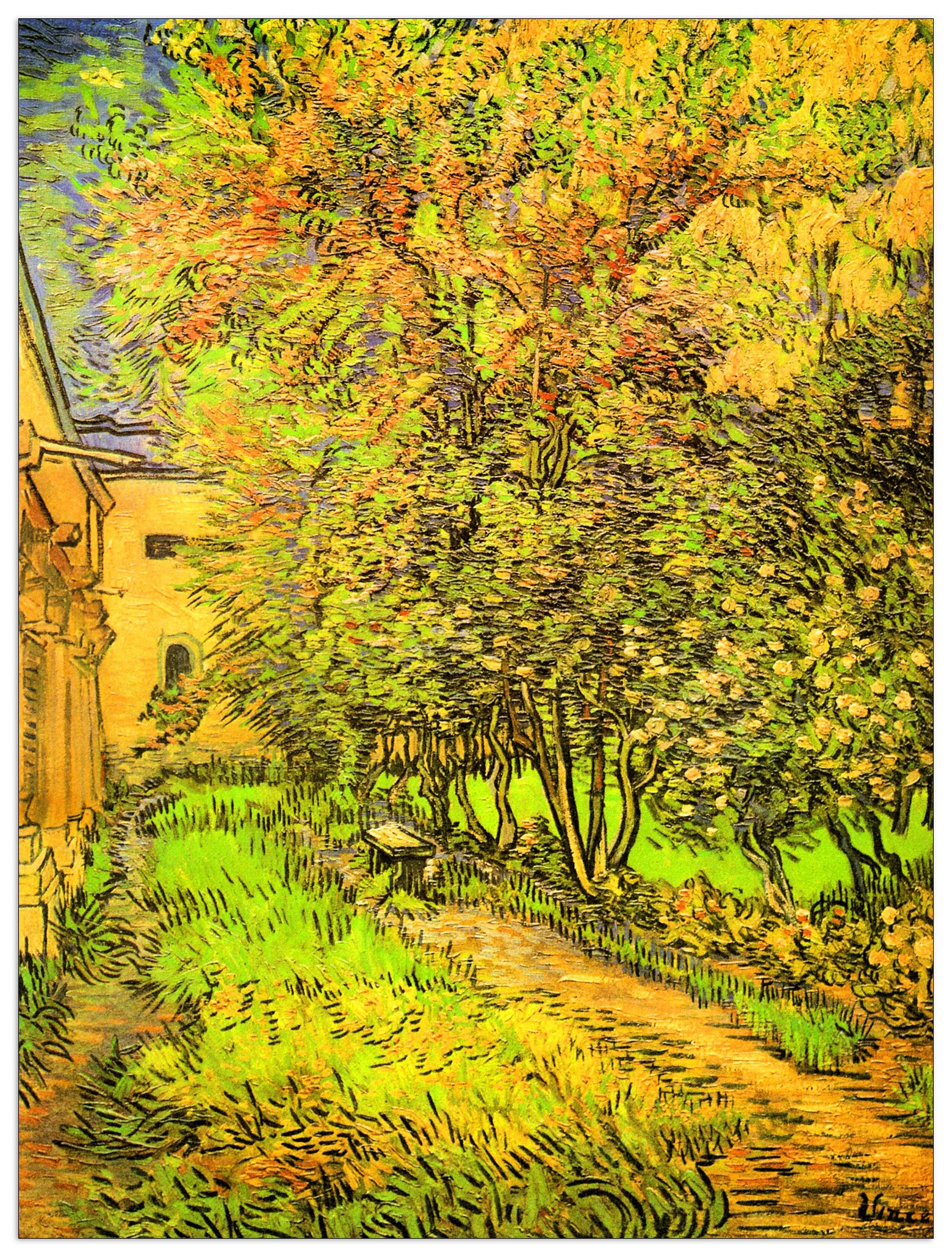 The Garden of the Clinic of Saint-ReÌmy cm 60x80