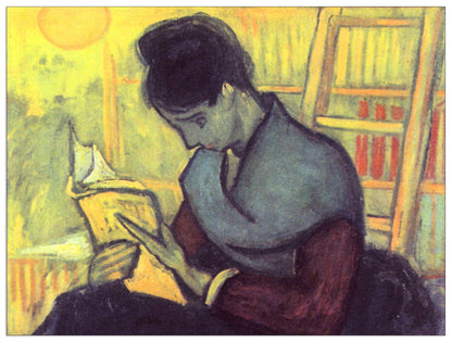 The novel reader cm 80x60