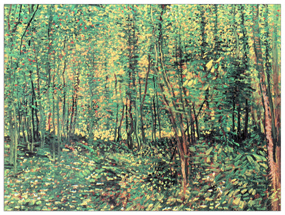 Trees and undergrowth cm 80x60