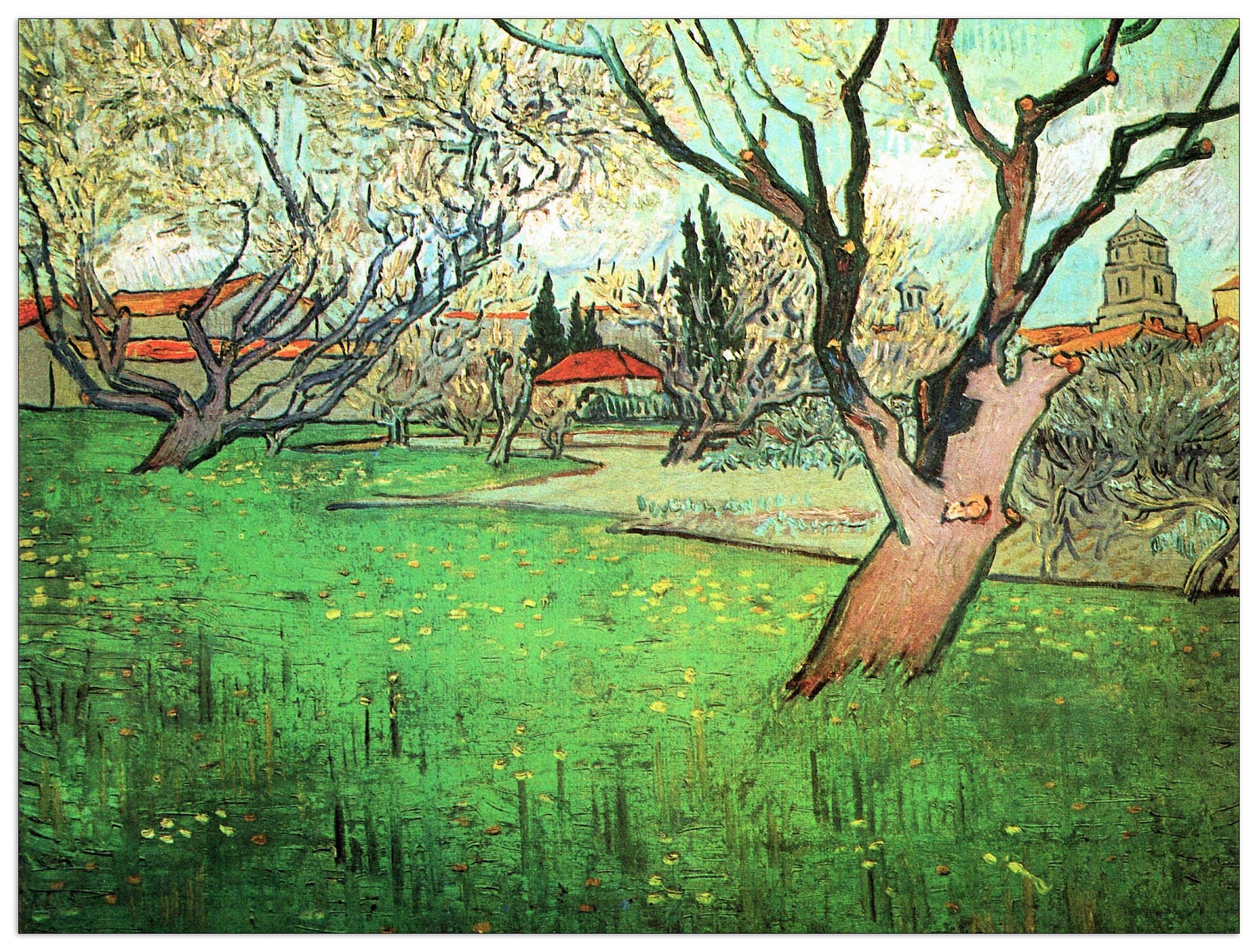 View of Arles with flowering tree cm 80x60