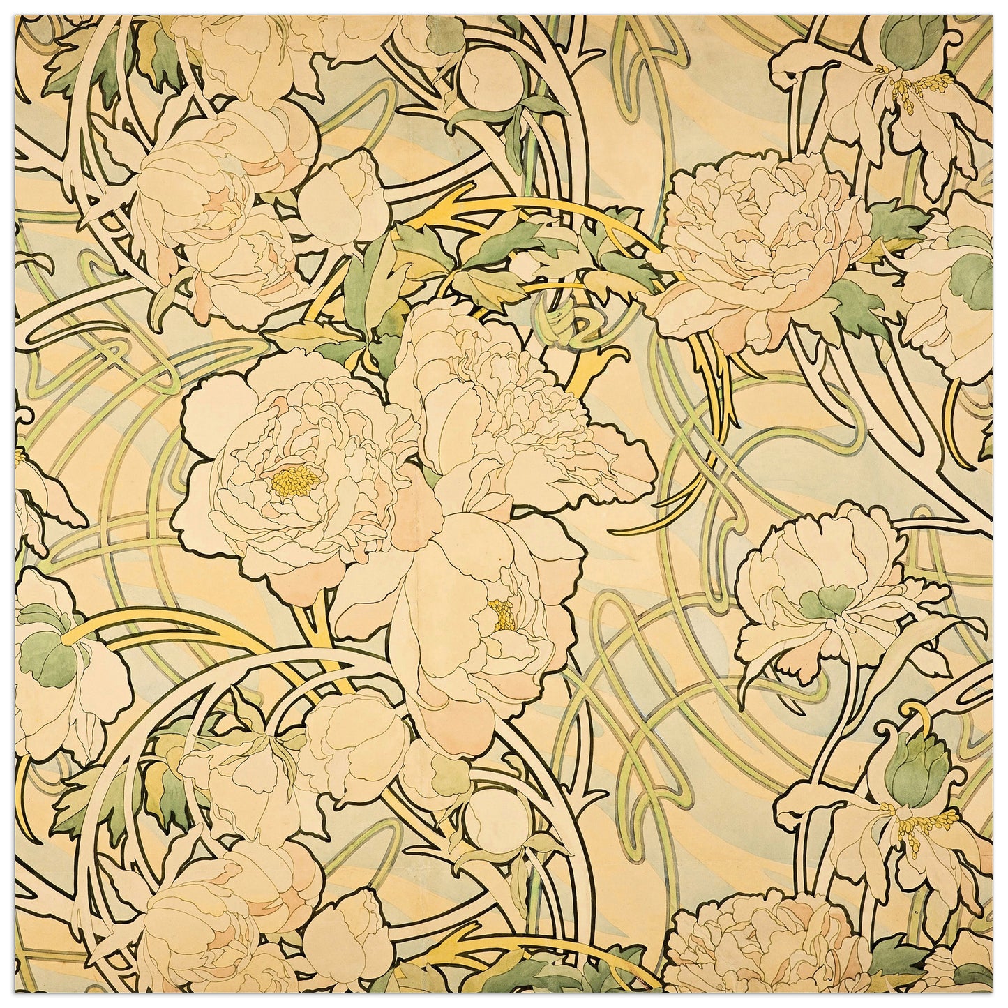 Peonies cm 100x100