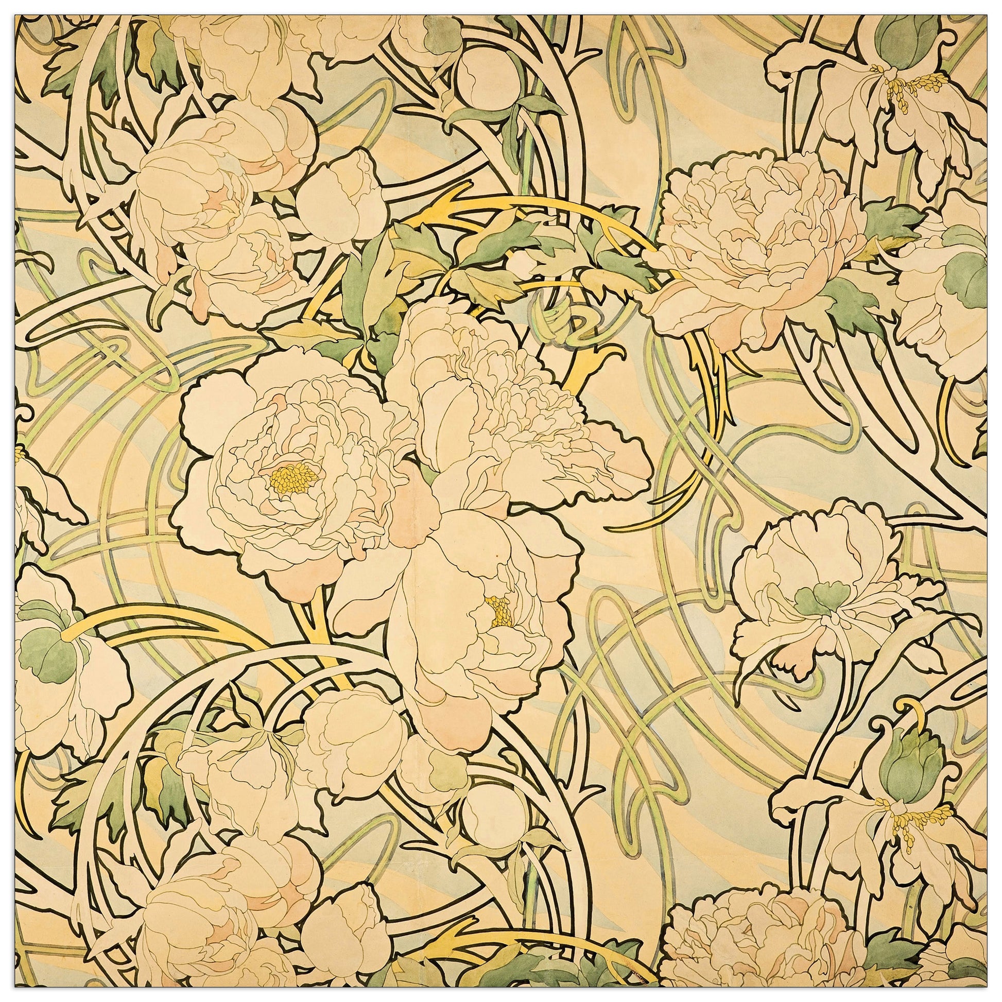 Peonies cm 100x100