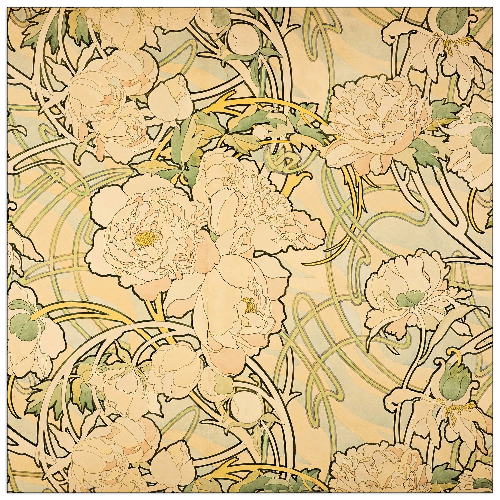 Peonies cm 70x70