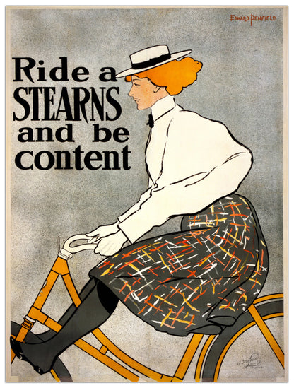 Ride a Stearns cm 60x80