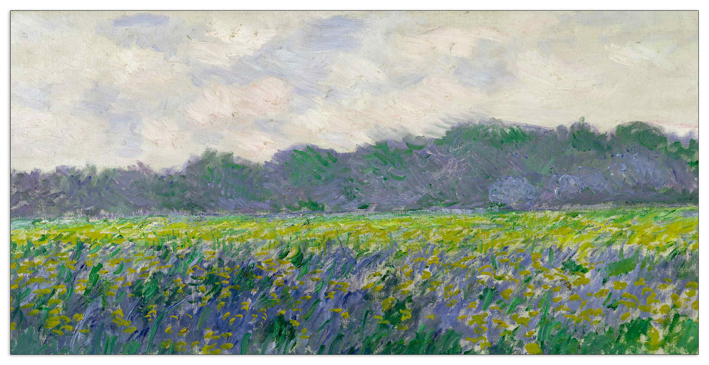 Field of Yellow Irises cm 100x50
