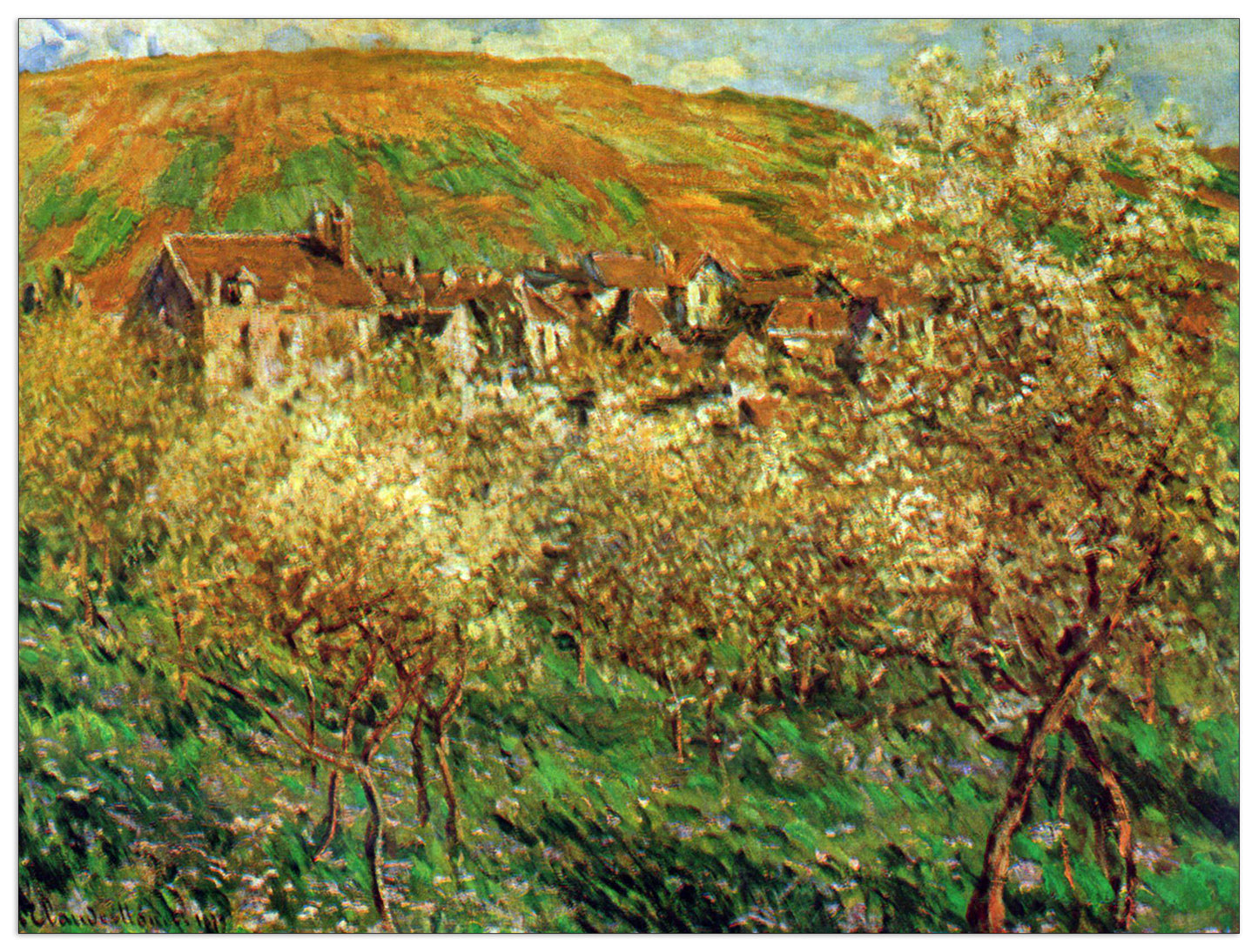 Flowering apple trees cm 80x60