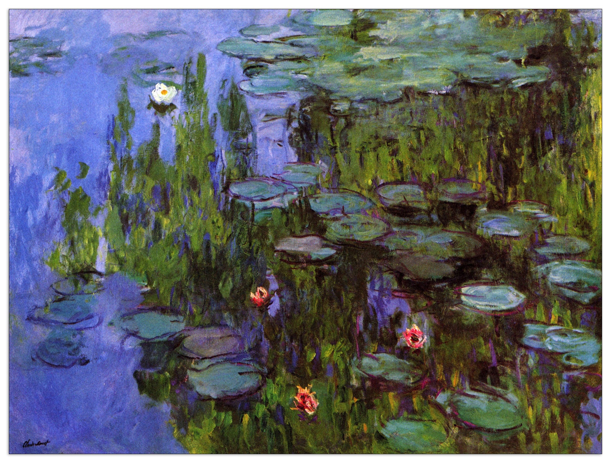 Gardens cm 80x60