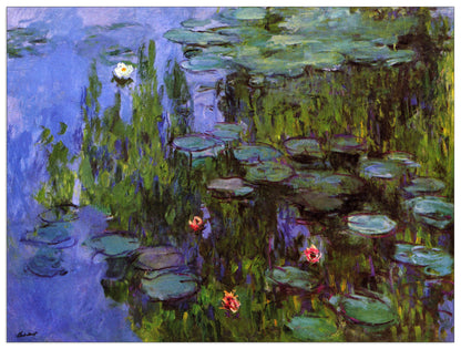 Gardens cm 80x60