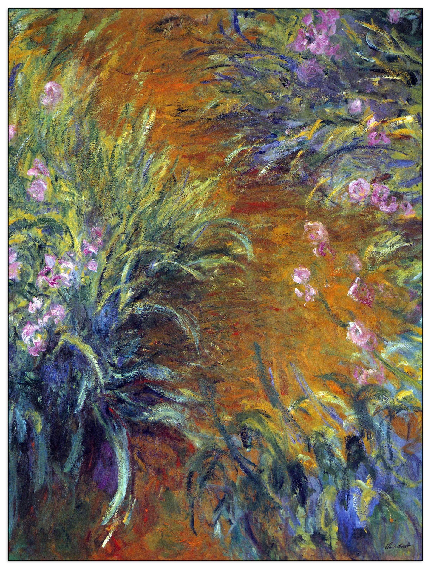 Irises cm 90x120