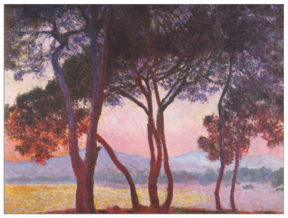 Juan les Pins cm 120x90