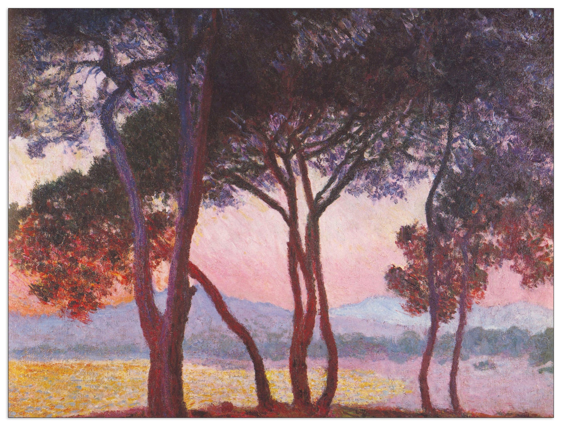 Juan les Pins cm 80x60