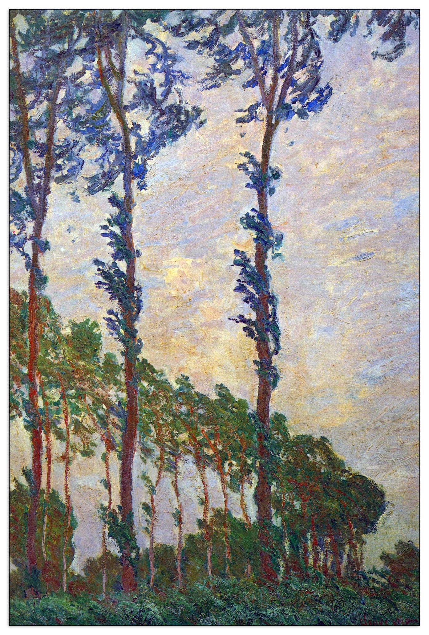 Poplar series, wind cm 90x135