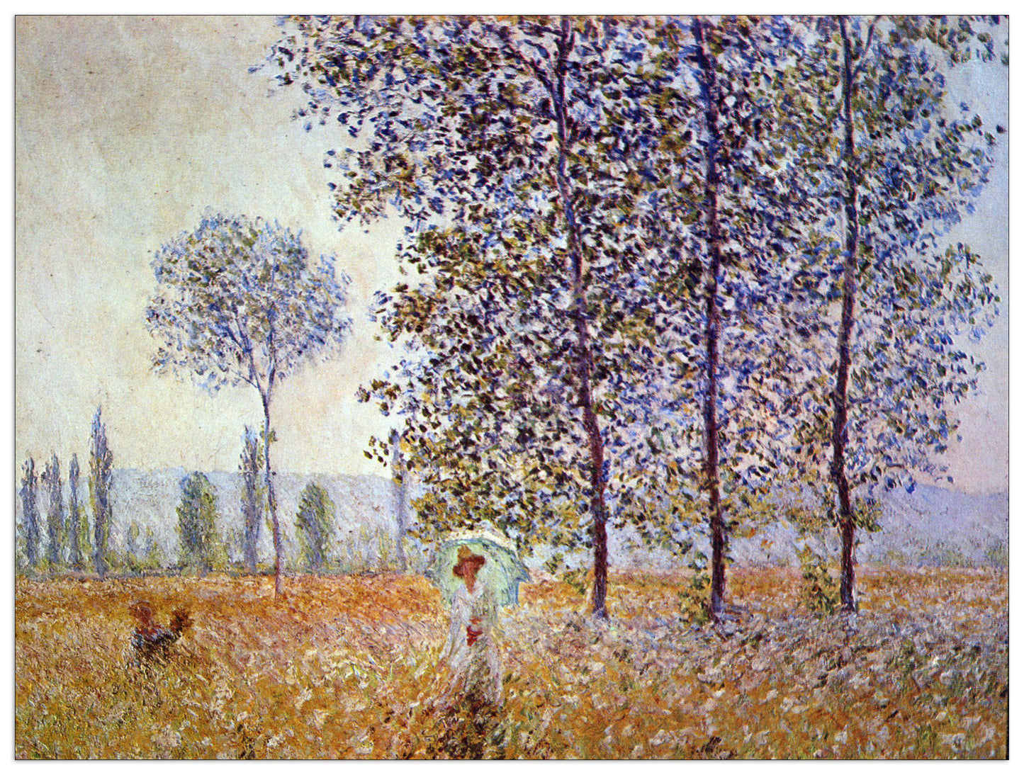 Poplars in the sunlight cm 120x90