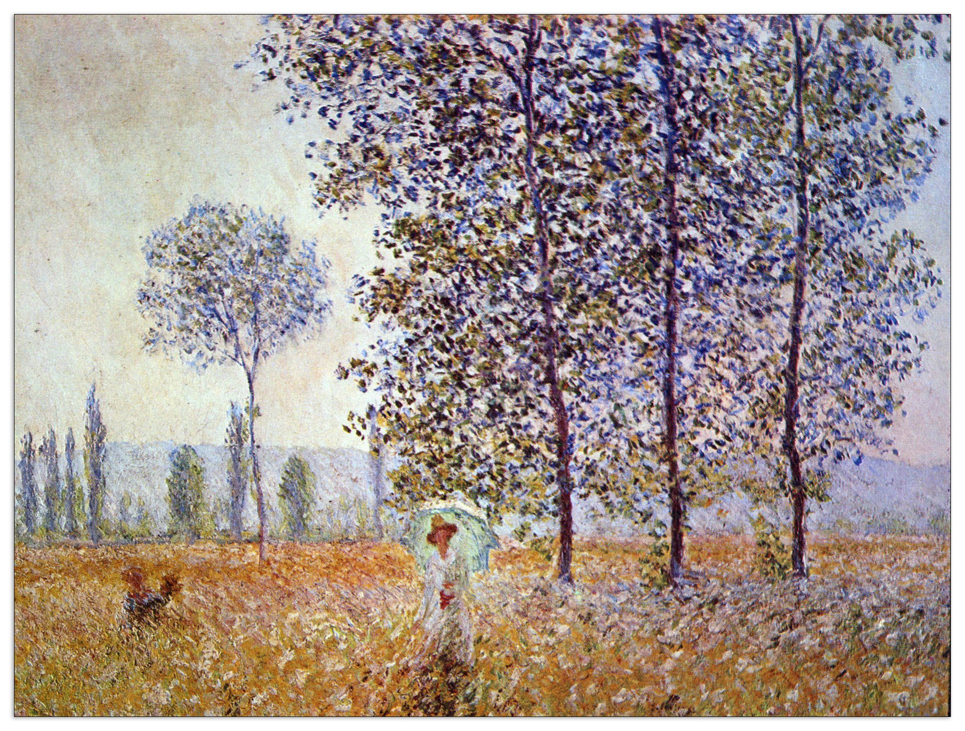 Poplars in the sunlight cm 120x90