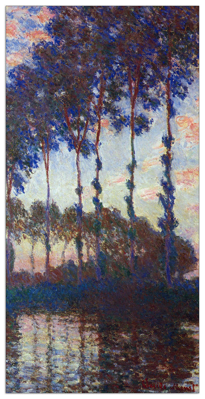 Poplars, sunset cm 70x140