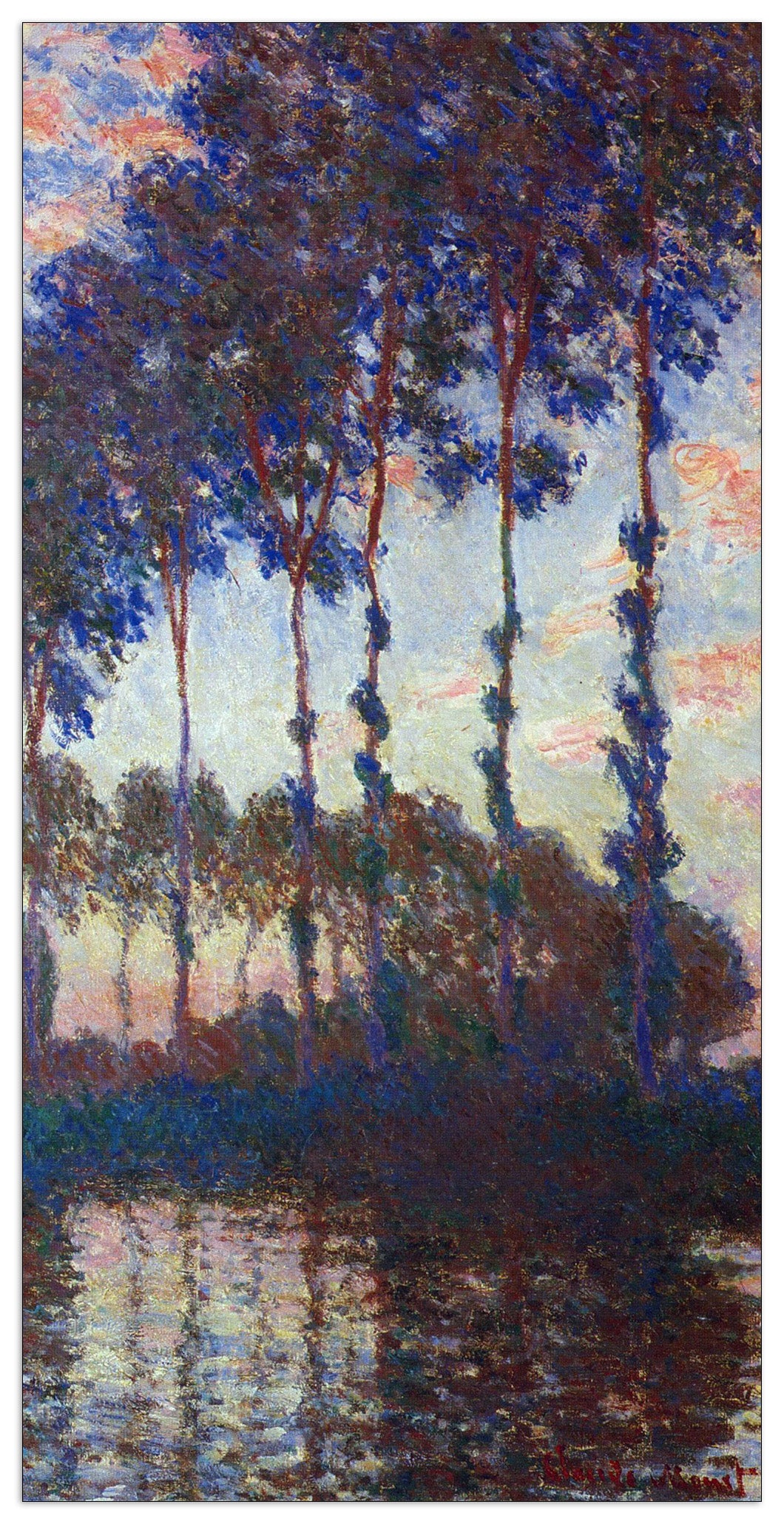 Poplars, sunset cm 50x100
