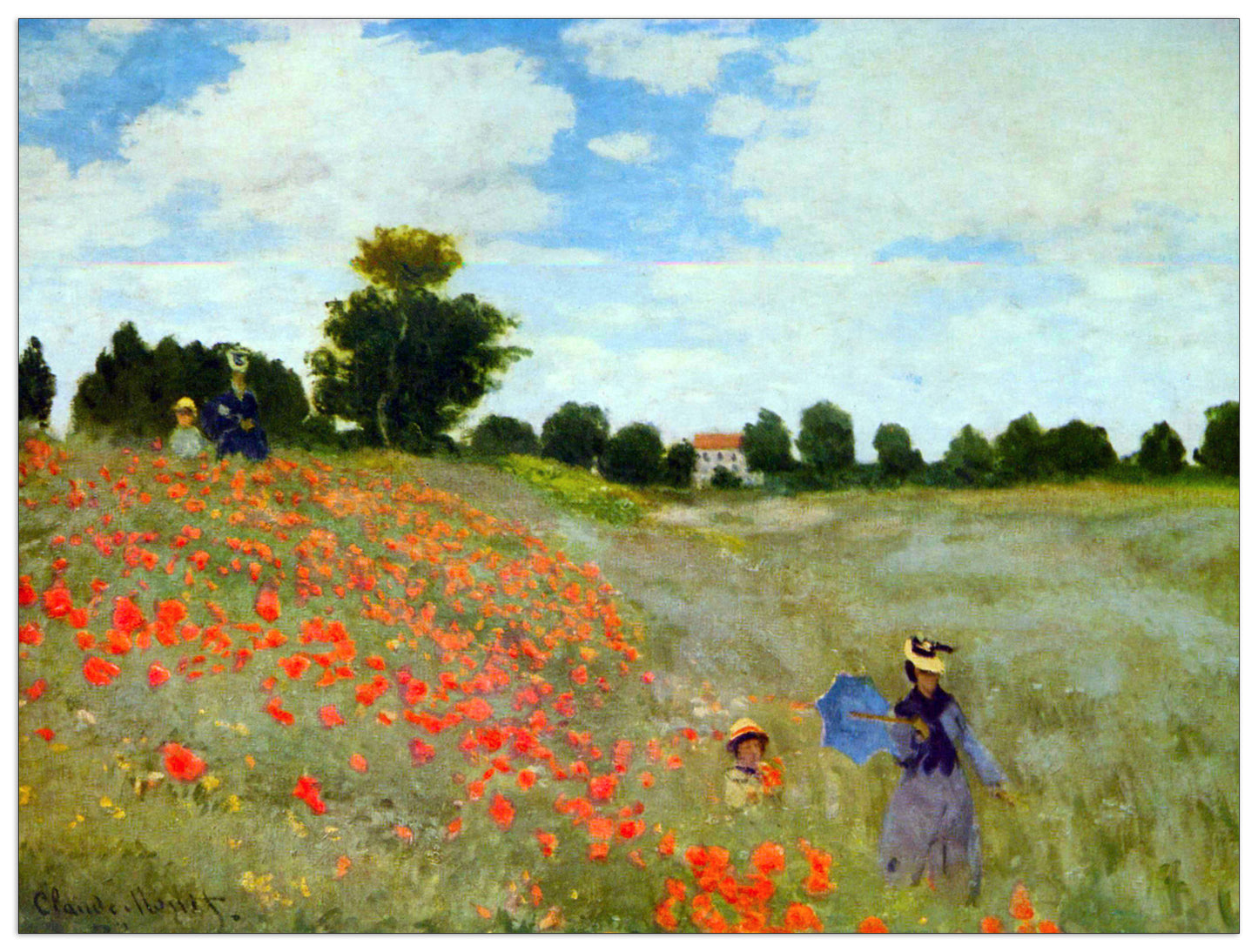 Poppies cm 120x90
