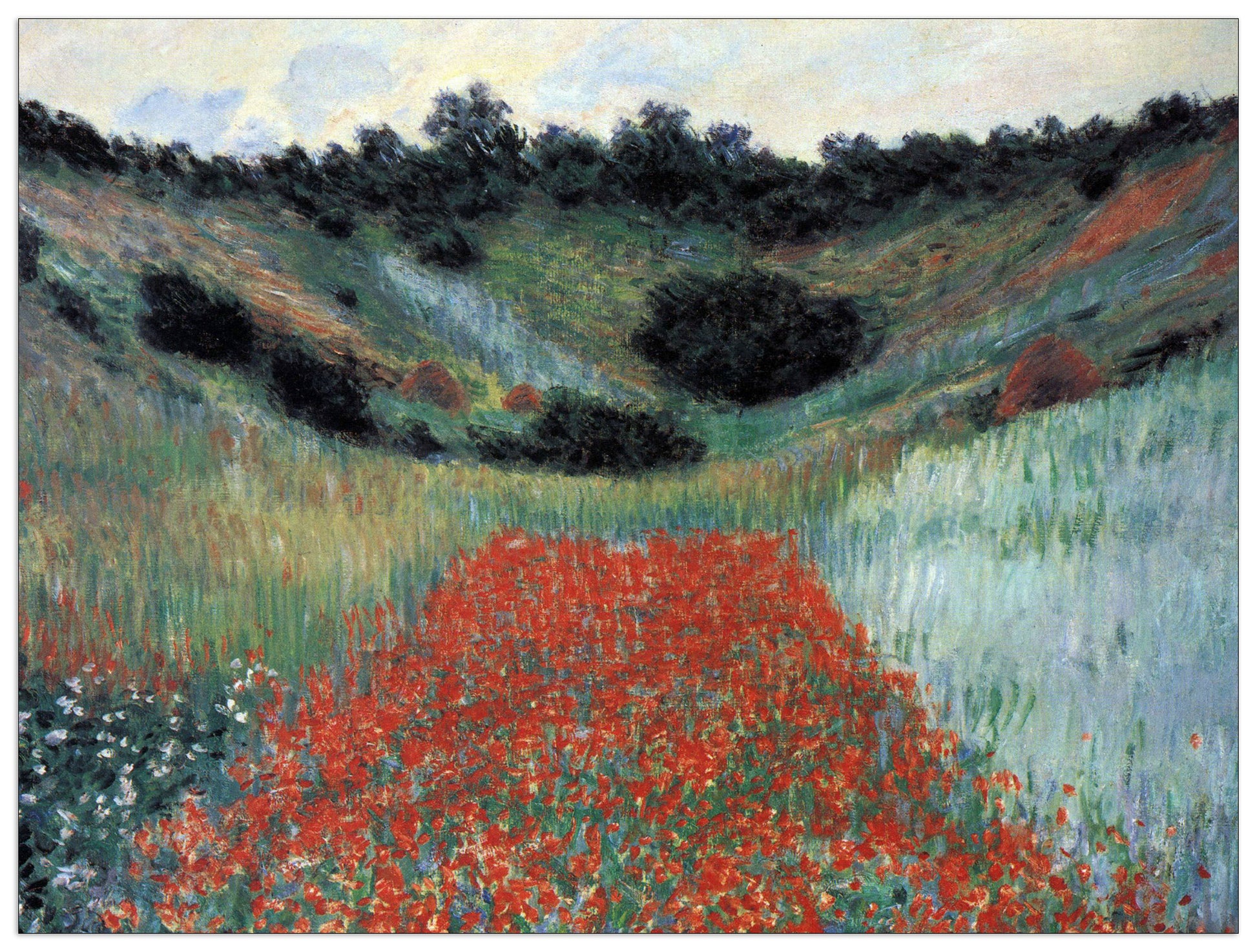 Poppy field in Giverny cm 80x60