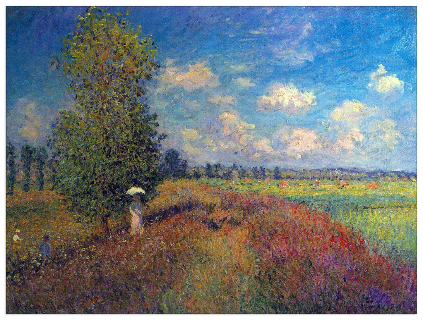 Poppy Field in Summer cm 80x60