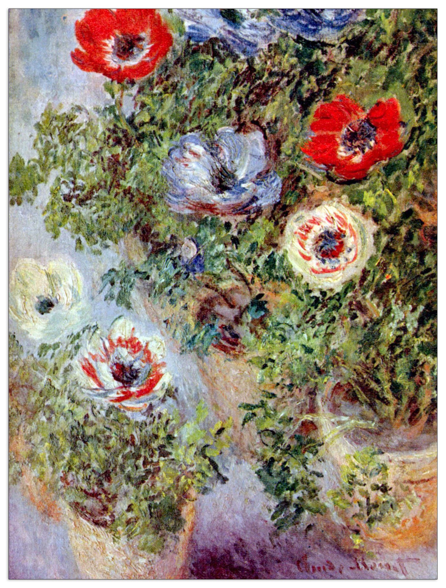 Still Life with Anemones cm 60x80