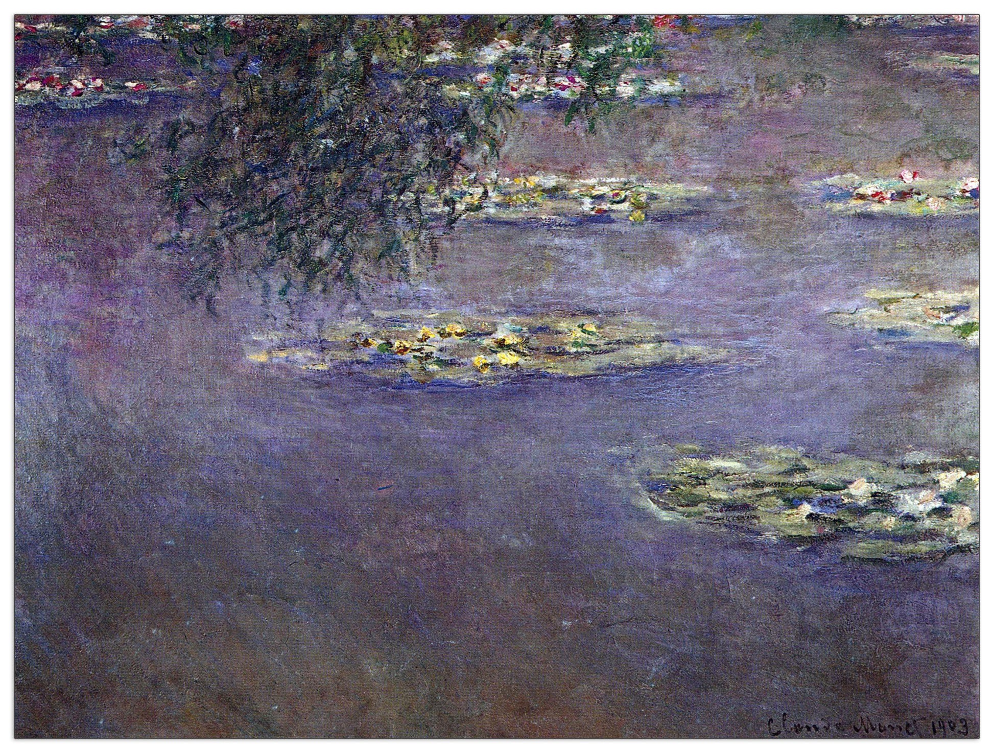 Water lilies, water landscape I cm 120x90