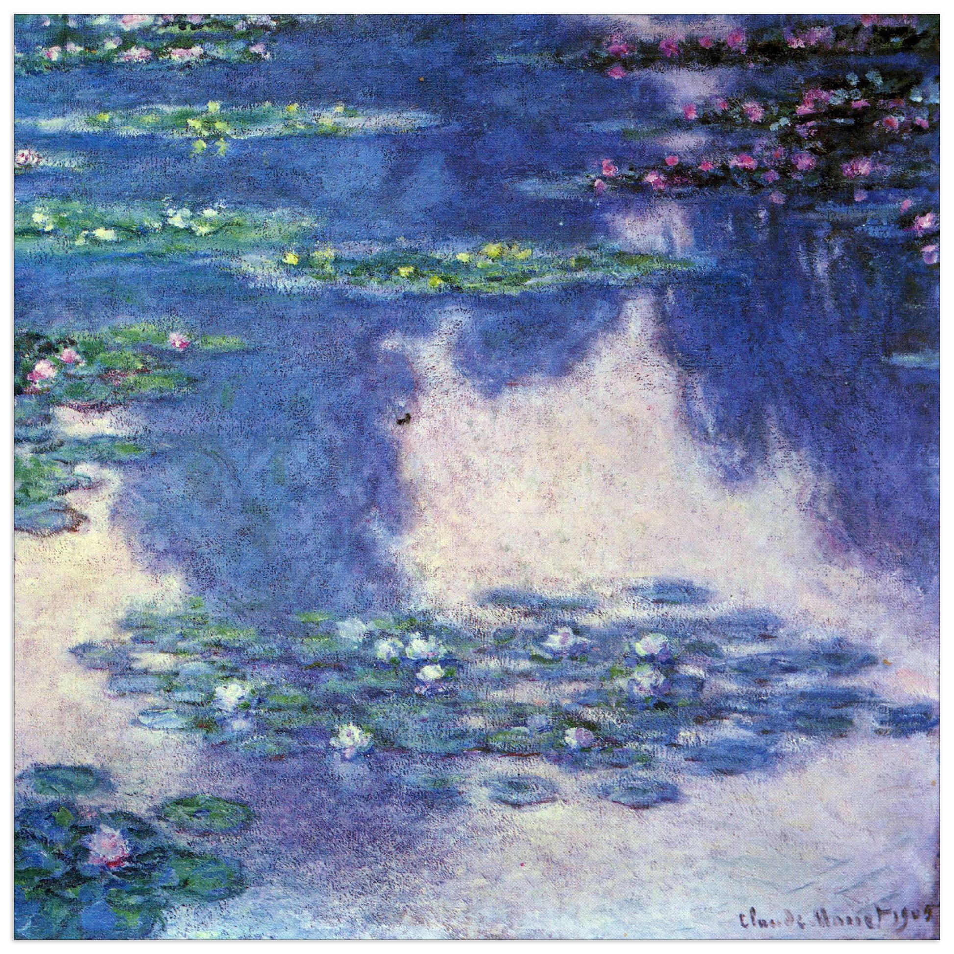 Water lilies, water landscape IV cm 50x50