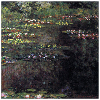 Water lilies, water landscape V cm 100x100