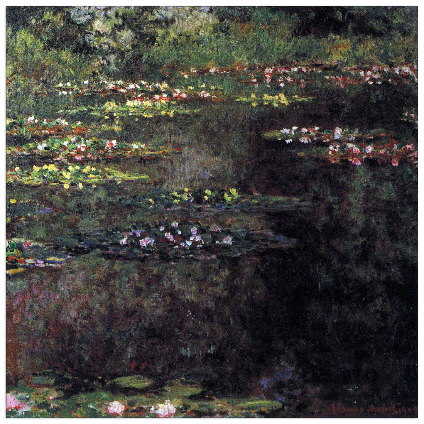 Water lilies, water landscape V cm 50x50