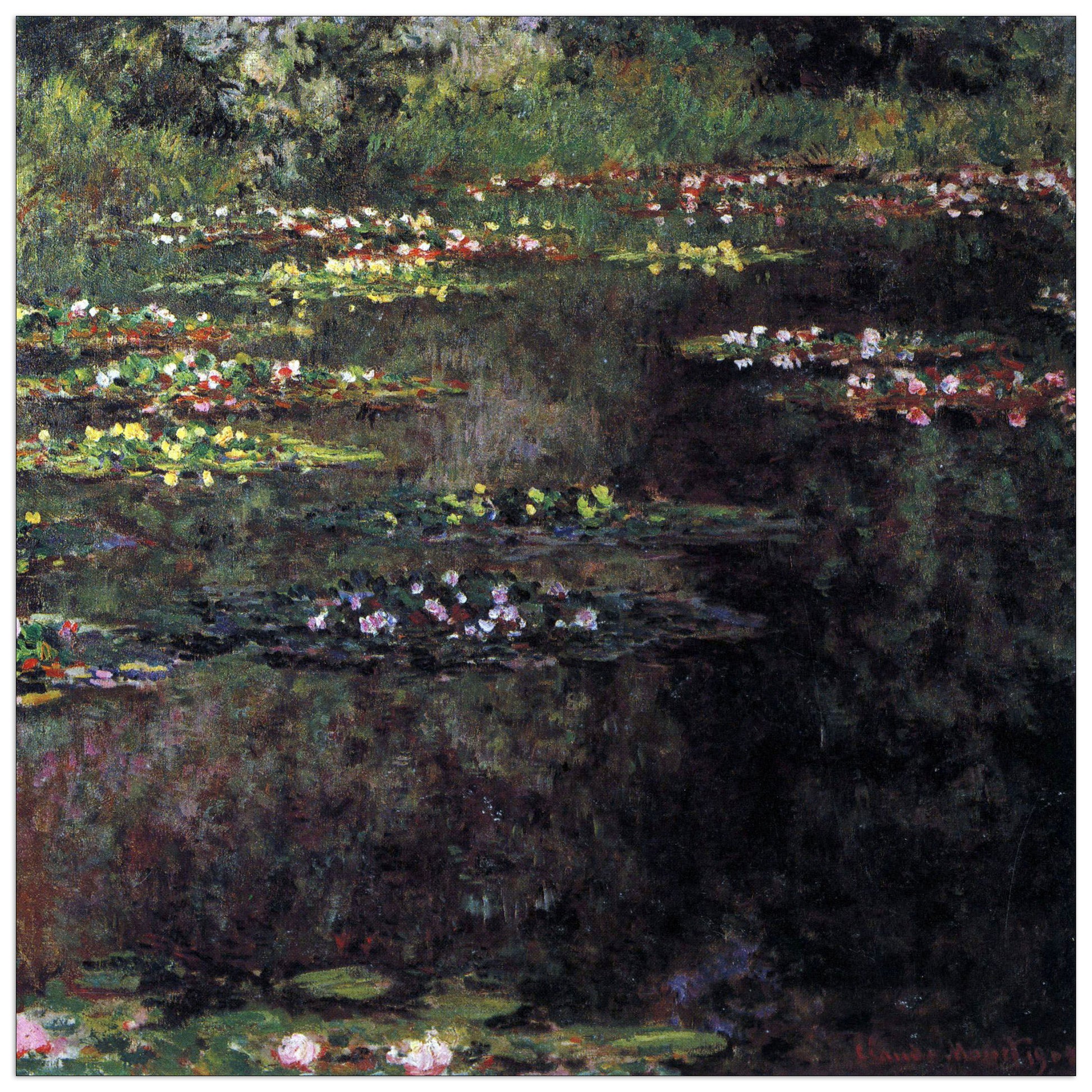 Water lilies, water landscape V cm 50x50