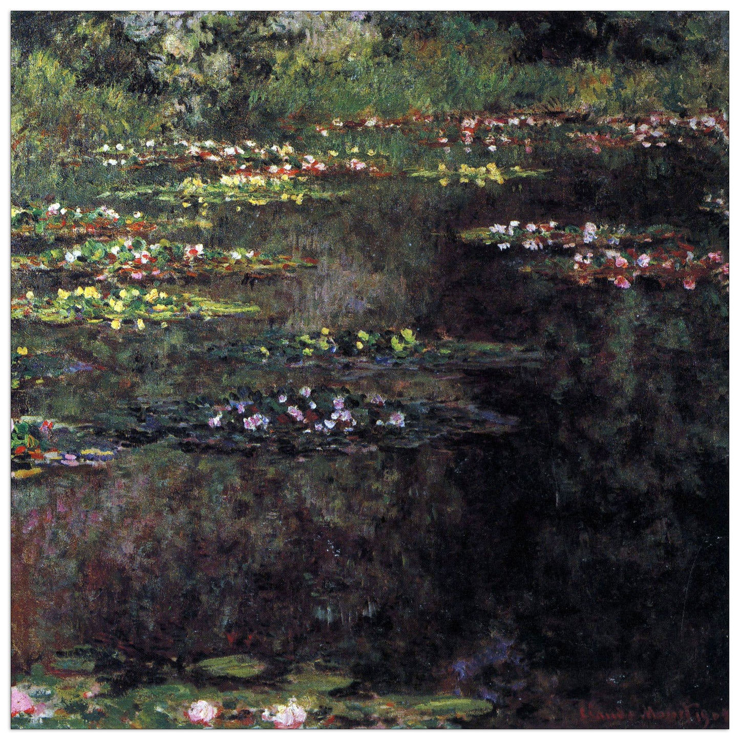 Water lilies, water landscape V cm 30x30