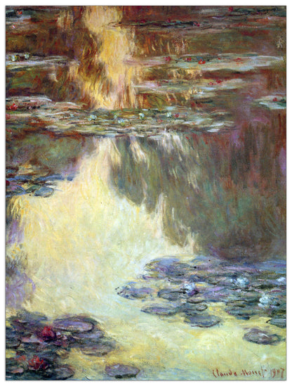 Water lilies, water landscape VI cm 60x80