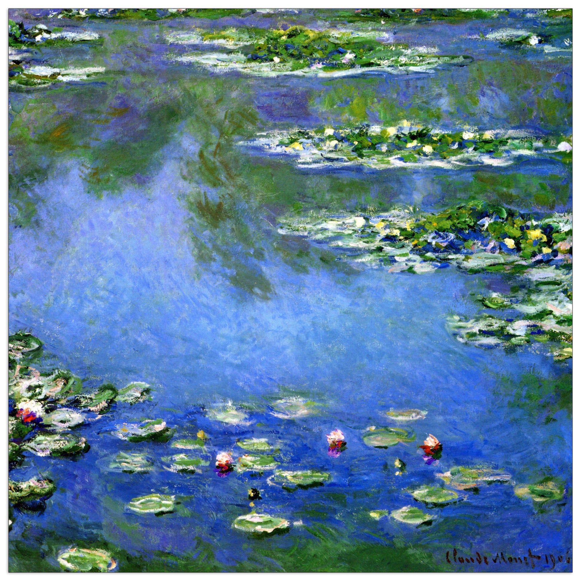 Water Lilies cm 50x50