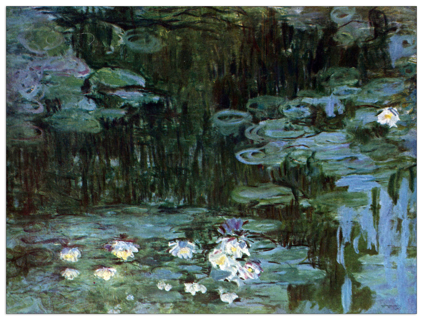 Water Lillies I cm 120x90