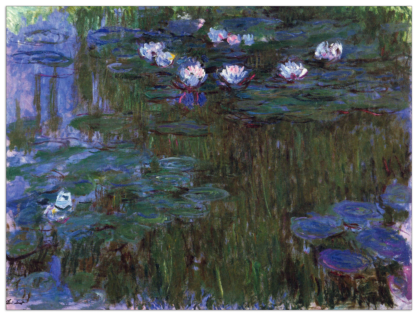 Water Lillies II cm 80x60