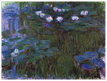 Water Lillies II cm 80x60