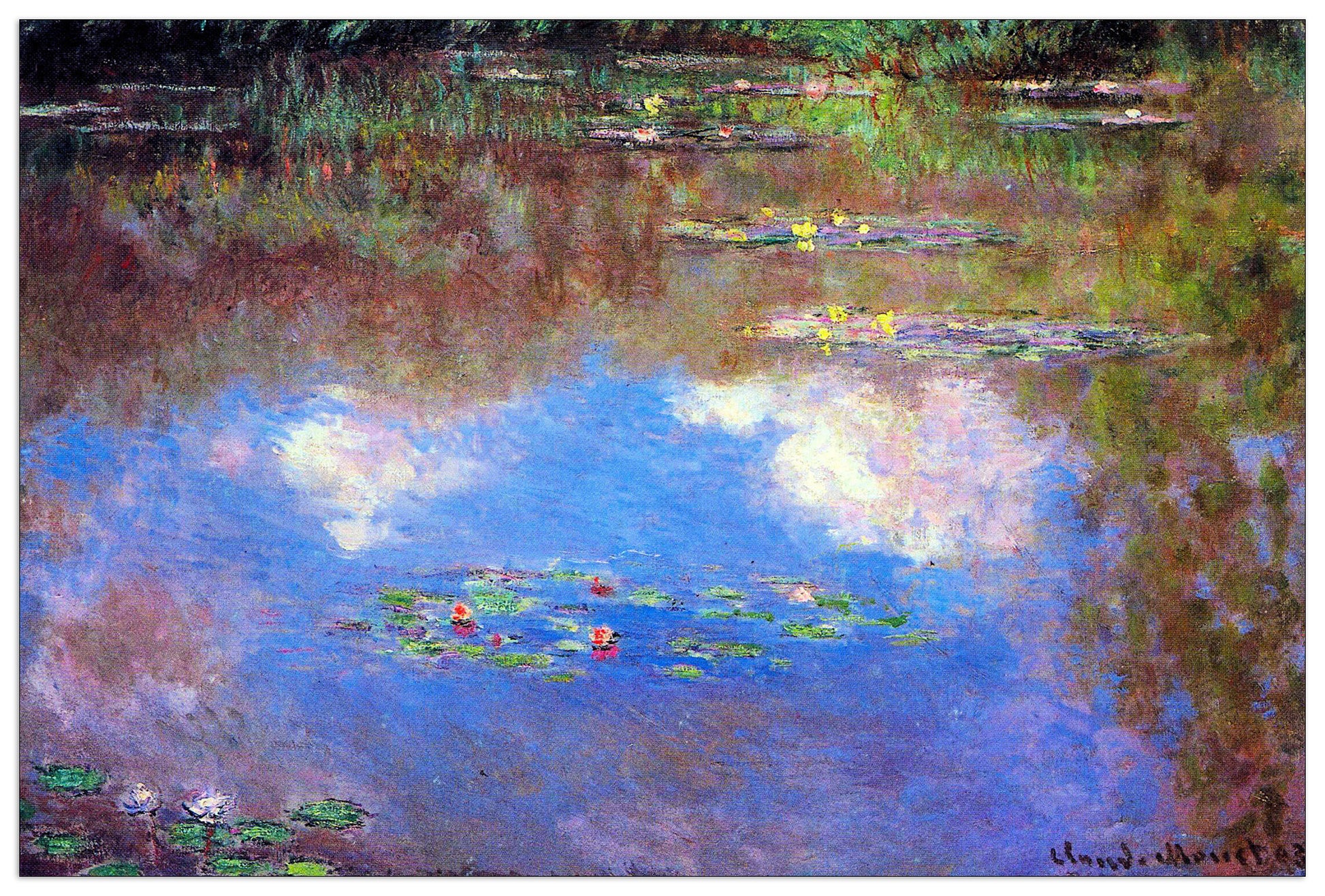 Water Lily Pond IV cm 90x60