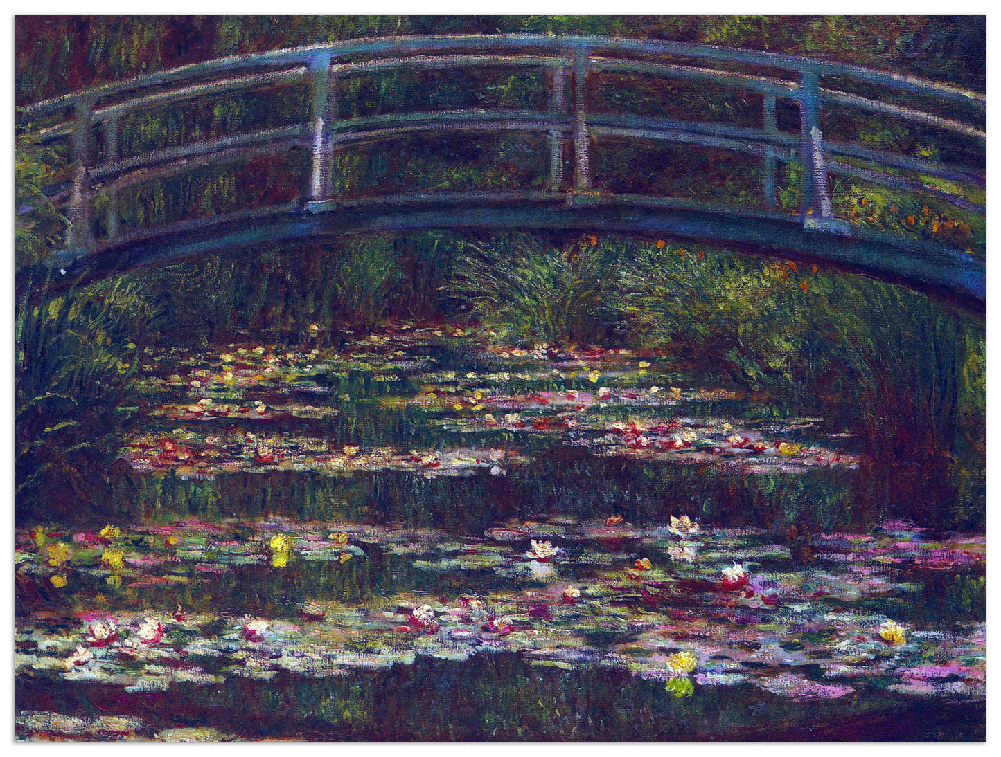Water Lily Pond V cm 120x90