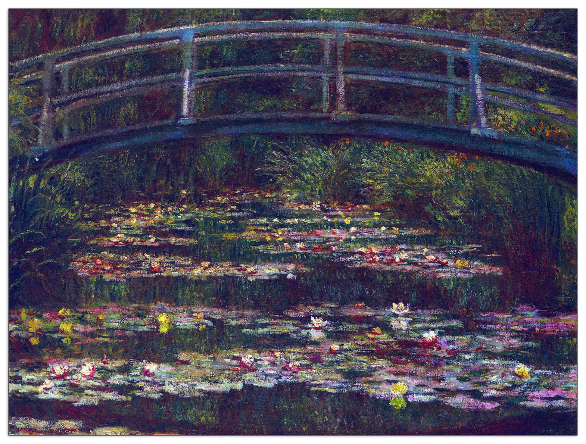 Water Lily Pond V cm 120x90