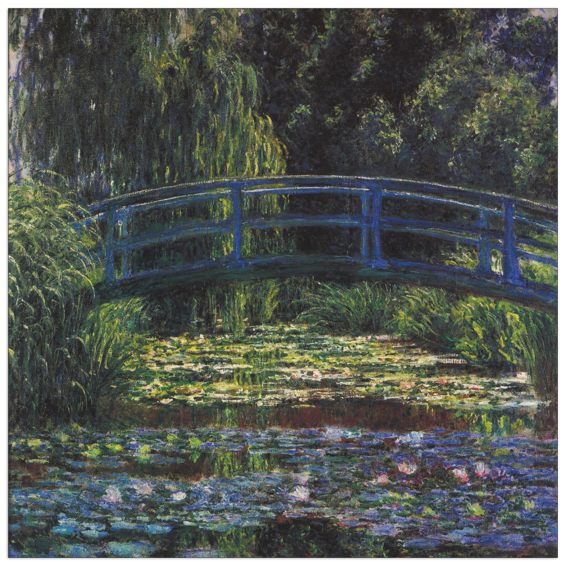 Water Lily Pond VI cm 70x70