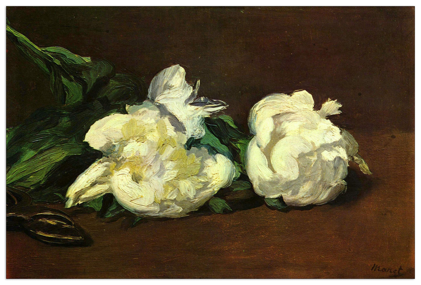 Still life, White Peony cm 135x90