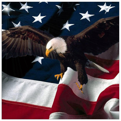 American eagle cm 30x30