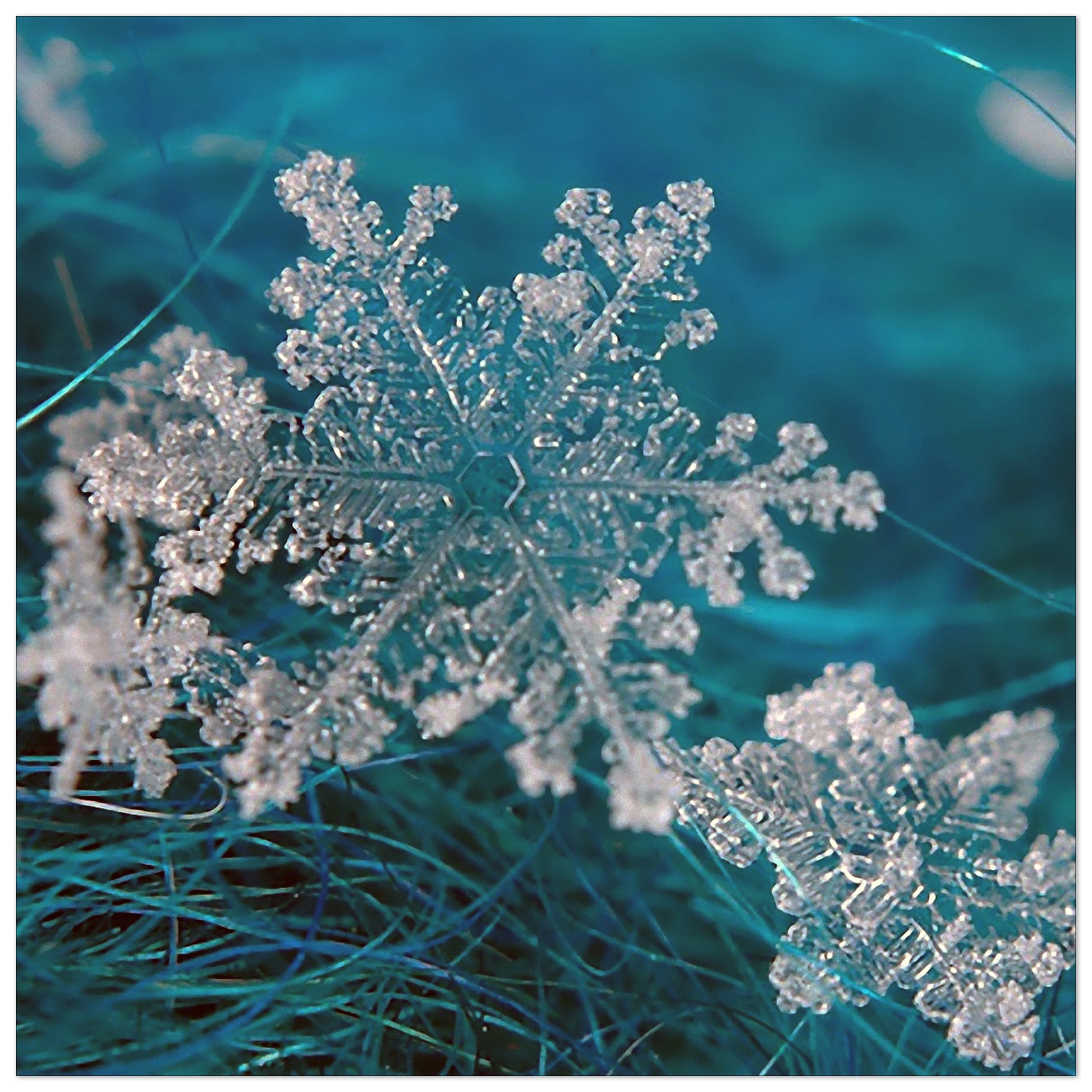 Snow cm 30x30