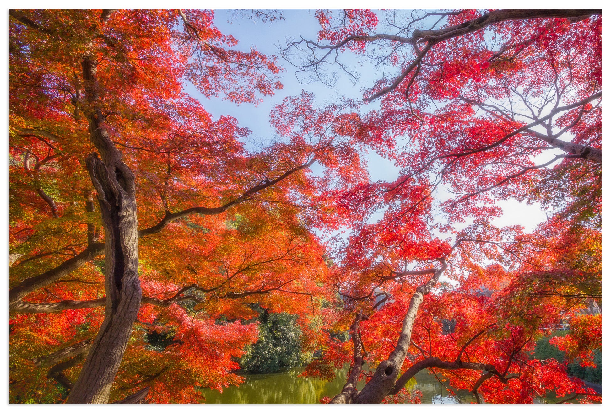 Autunno cm 135x90